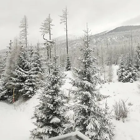 Pod Gerlachom דירה Vysoké Tatry